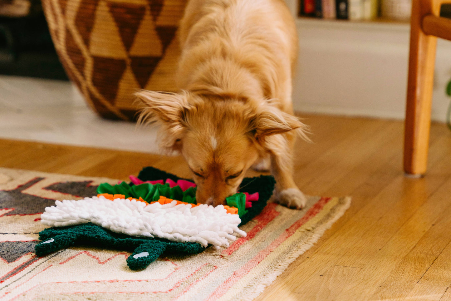 Sushi Roll Dog Toy