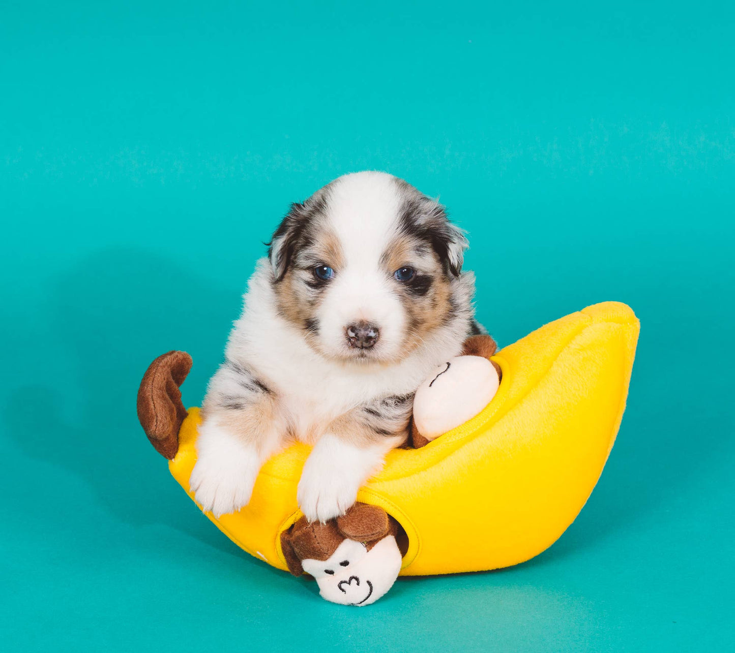 ZippyPaws Zippy Burrow Monkey 'n Banana