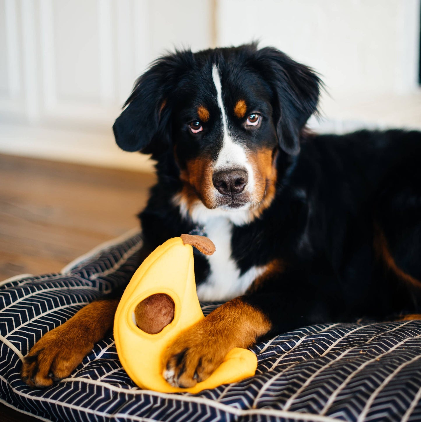 ZippyPaws Zippy Burrow Monkey 'n Banana
